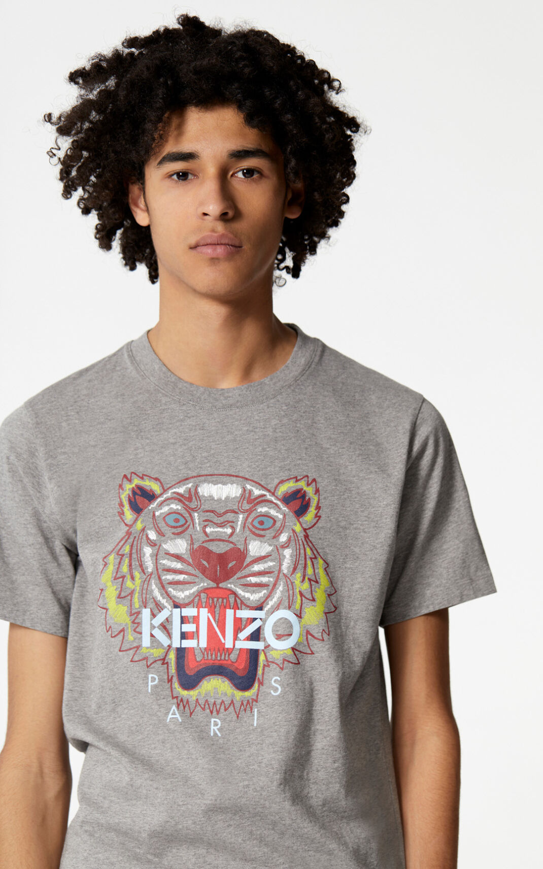 Kenzo Tiger Majice Muške - Sive - Hrvatska HZUXLF109